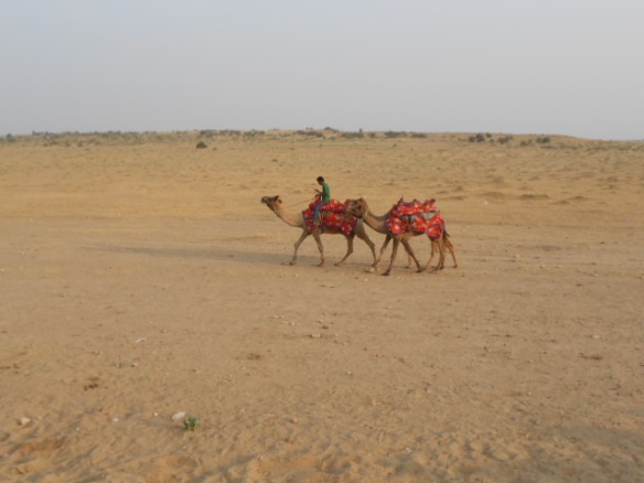 11-03 Jaisalmer 150