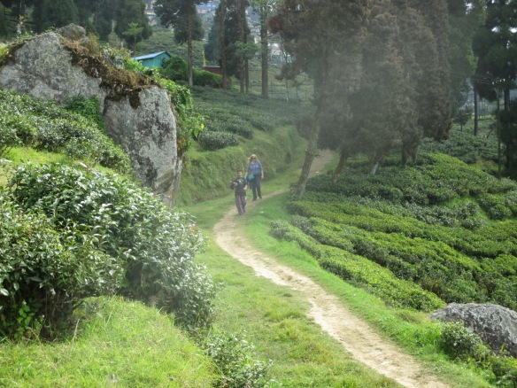 10-26 Darjeeling tea and train 055